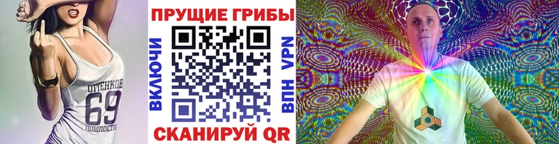 Купить где  Губкинский  Галлюциногенные грибы Cubensis 