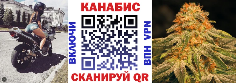 Купить  Губкинский  Каннабис планчик 